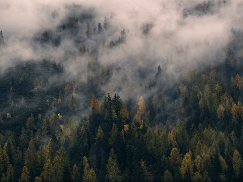 Оскільки папір розкриває тут Захід.