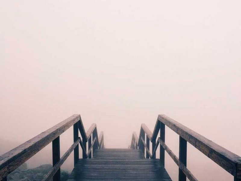 Собачий розумний ліжко Hount Out.