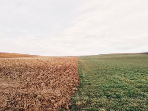 нерухомість купити, купить недвижимость