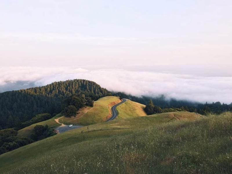 Часто сортуйте, якщо страждає біт агента.